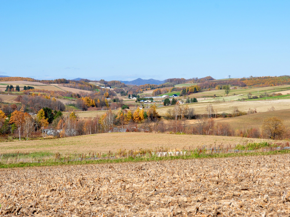dsc_0087.jpg