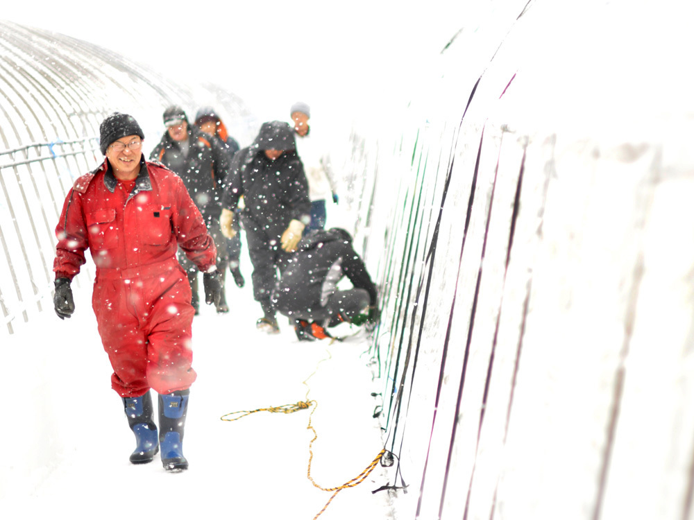 dsc_0462_20200124172950489.jpg