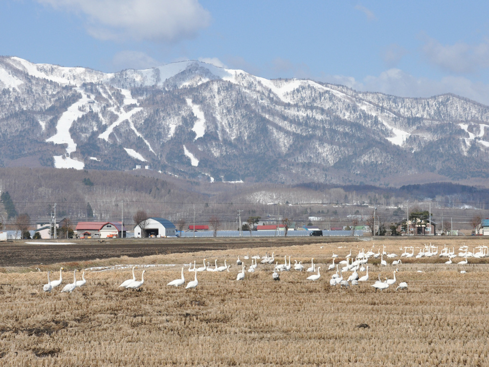 dsc_0470.jpg
