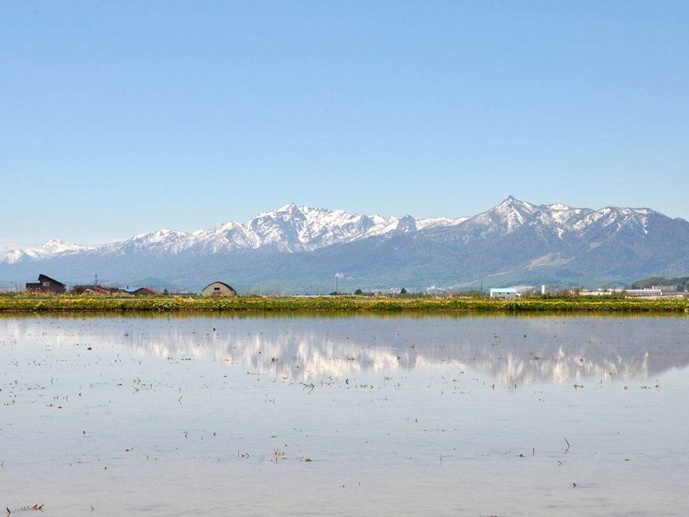 dsc_0661.jpg